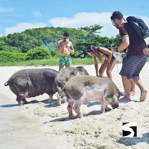 Koh Samui Tours - Secret islands boat trip