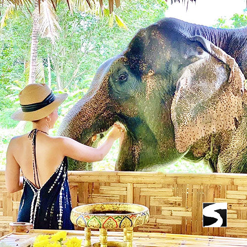 Island Tour Around Koh Samui Full Day Sightseeing