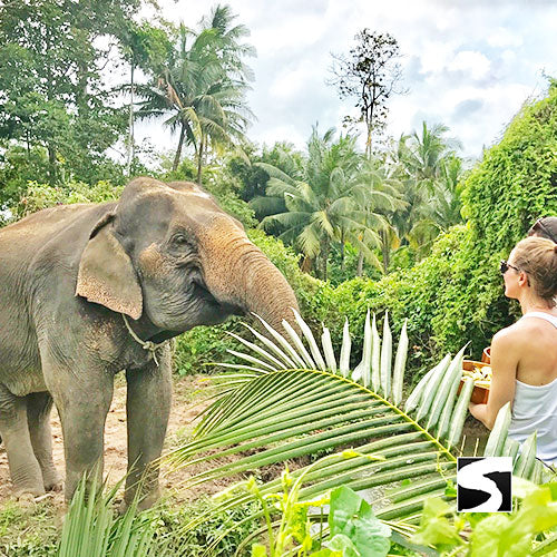 Island Tour Around Koh Samui Full Day Sightseeing