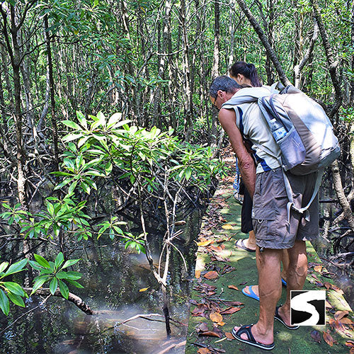 Koh Samui Tours - Secret islands boat trip