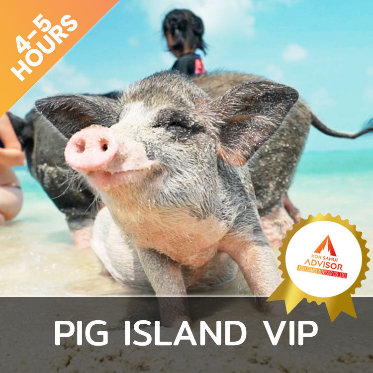 Pig Island VIP Snorkeling Longtail Boat