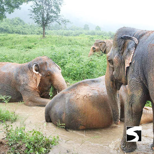 3 Elements Tour - Koh Samui by Sky, Land & Sea
