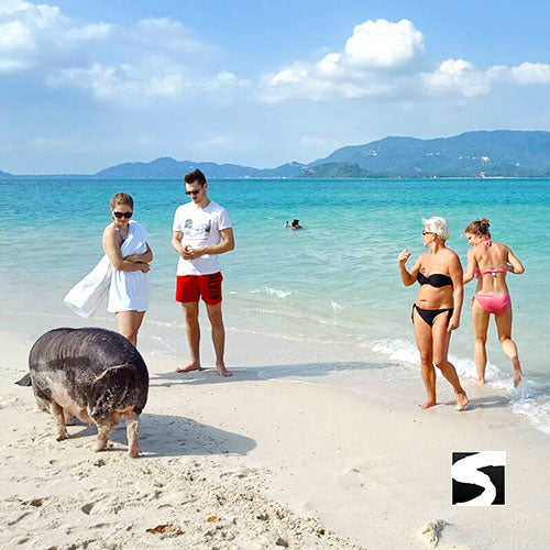 3 Elements Tour - Koh Samui by Sky, Land & Sea