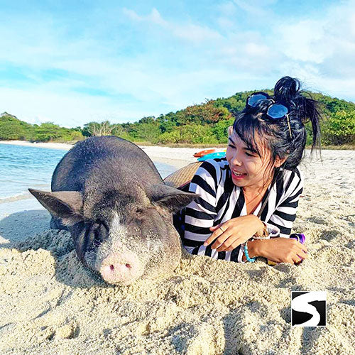 3 Elements Tour - Explore Koh Sa3 Elements Tour - Koh Samui by Sky, Land & Seamui by Sky, Land & Sea - kohsamui.tours