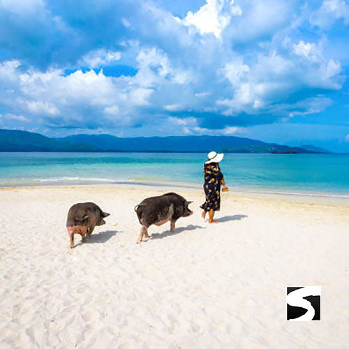 3 Elements Tour - Koh Samui by Sky, Land & Sea