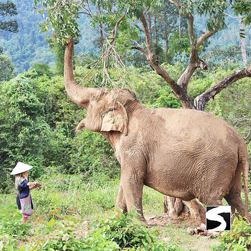 3 Elements Tour - Koh Samui by Sky, Land & Sea