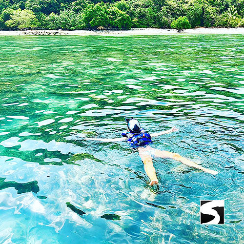 PIG ISLAND SNORKELING KOH MUDSUM & KOH TAN SPEED BOAT VIP TOUR - kohsamui.tours